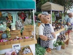 -济州岛泰迪熊博物馆