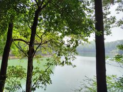 -红花湖景区