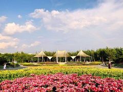 -长春公园(普阳街道)