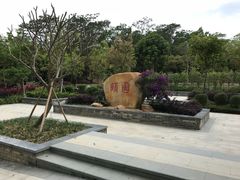 -大屏嶂森林公园