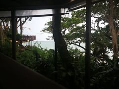-卷心菜和避孕套餐厅(Pattaya)