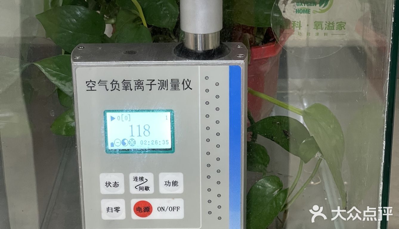 原来还有除甲醛的涂料