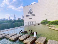 -行者书屋大堂吧 ·下午茶(南京圣和府邸酒店)