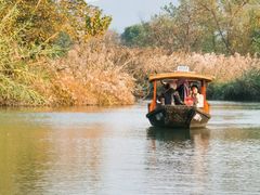 -西溪国家湿地公园