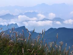 -野三坡百草畔景区