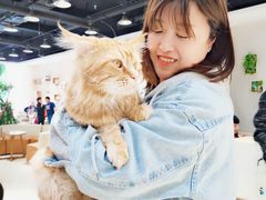 -藏猫猫咖啡主题馆(中央大道店)