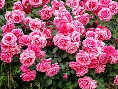 -下沉广场(羊坊店街道)