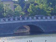 -扬州大运河文化旅游度假区·盆景园