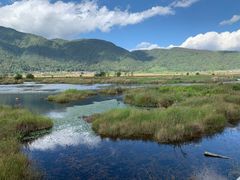 -腾冲北海湿地