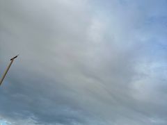 -海底捞火锅(锦艺城店)