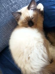 -盘子女人坊古装摄影(万达店)