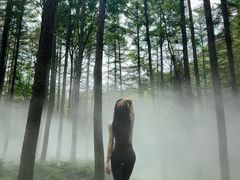 -洛阳白云山景区