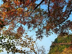 -少华山国家森林公园