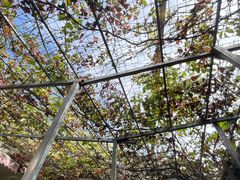 -伊隆斋(什刹海店)