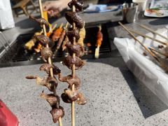 -东平国家森林公园烧烤