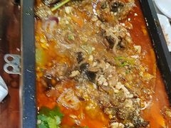 -张记烤鱼王(西街店)