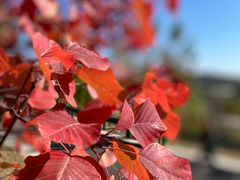 -白水寺森林公园