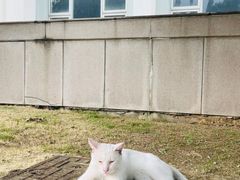 -苏州大学(天赐庄校区)
