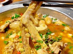 -老号尤兔头(幸福店)