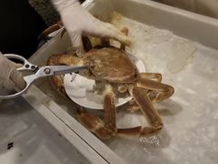 -初色海鲜自助(万丰路店)