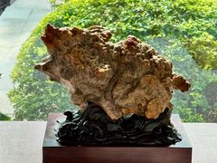 -上海植物园-4号门售票处