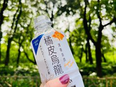 -上海共青森林公园