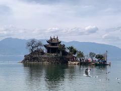 -小普陀