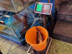 -粗粮人家·东北菜(洋桥店)