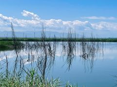 -野鸭湖国家湿地公园