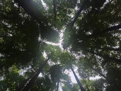 -山王坪喀斯特国家生态公园