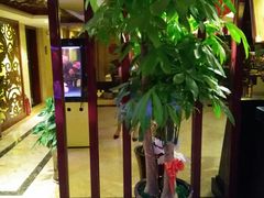 -重庆家富富侨养生会所全省示范店(东五路店)