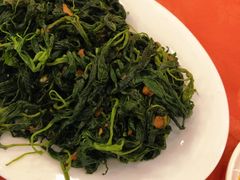 炒麻叶-深运潮州粥(东门店)