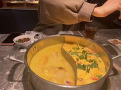 -禄婶鸡煲·打边炉