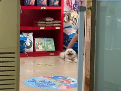 -瑞派旺宝宠物医院·犬猫全科综合·尿道专科(莲兴院)