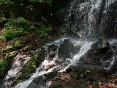 -本溪汤沟绿石谷森林公园