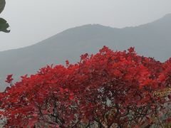-北京十三陵国家森林公园蟒山景区