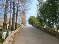-乌村