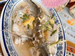 清蒸白水鱼-洞天食府(北大街店)