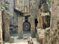 -铁山坪森林公园