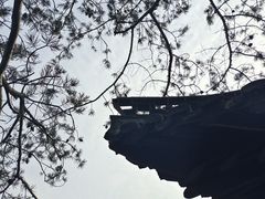 -何园