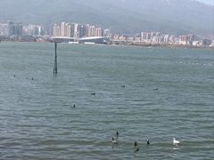 -大理洱海