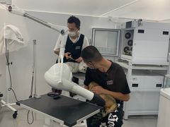 -comecome来吧宠物(奥克斯中心店)