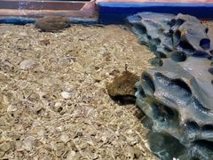 -青岛嘉年华主题乐园