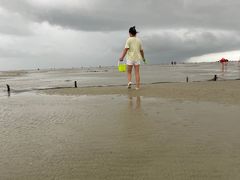 -北海金海湾红树林生态旅游区