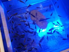 -菲拉拉漫温泉(东环路店)