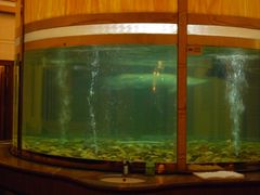 -肇庆奥威斯酒店