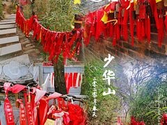 -少华山国家森林公园