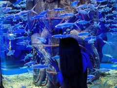 -波塞冬旅游度假区