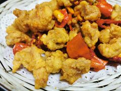 -丁老爷子苏香圆