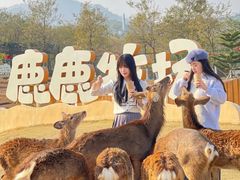 -盈香心动乐园
